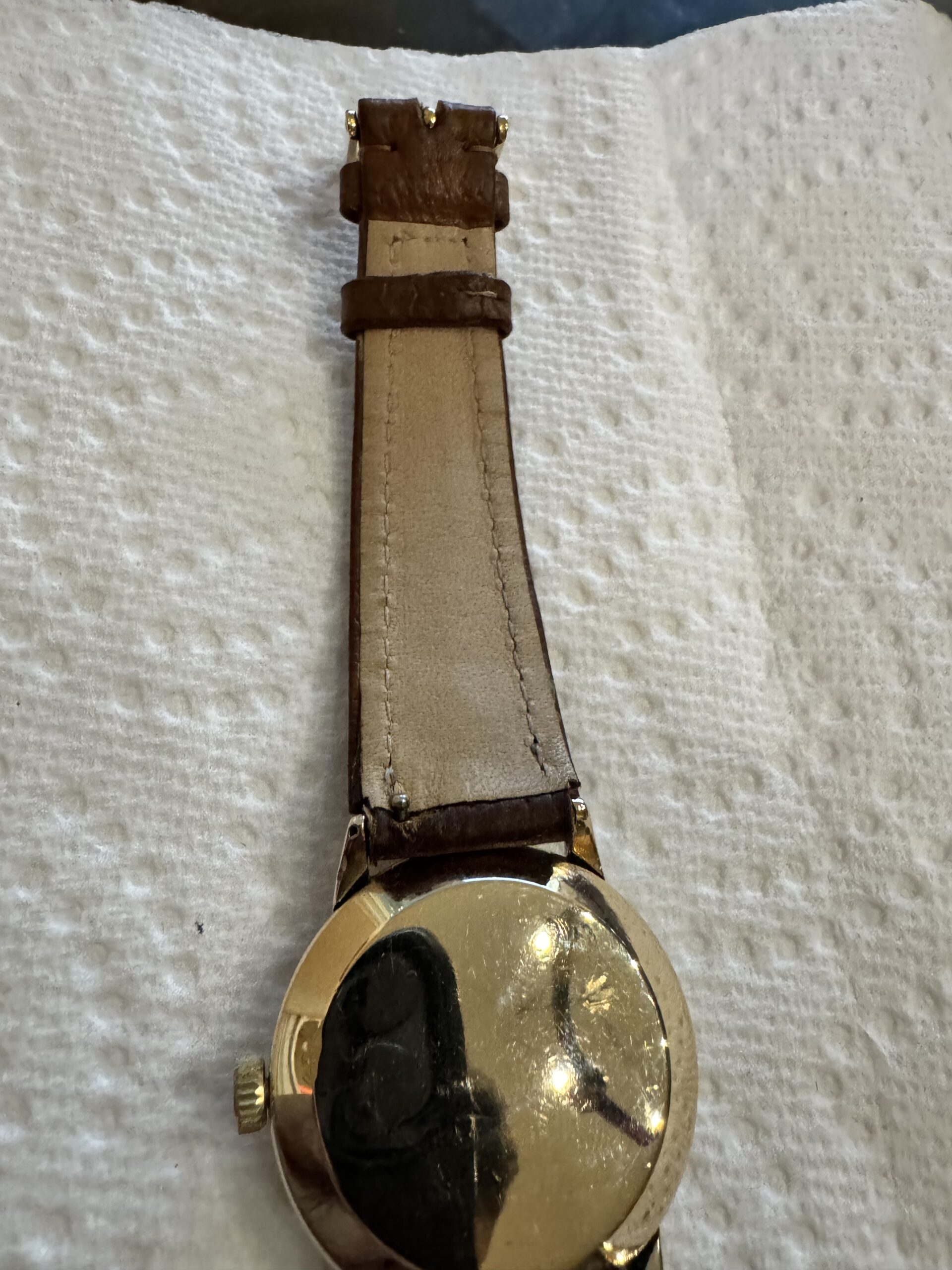 Wild Boar Leather Watch Strap